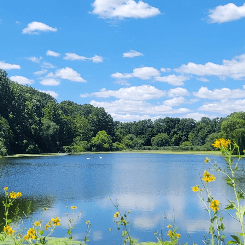 Author shares a photo she took of a park she went to | 28 Lessons To Celebrate 28 Years of Life